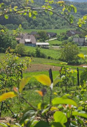 Vojnic Wohnung | Srce Petrove gore