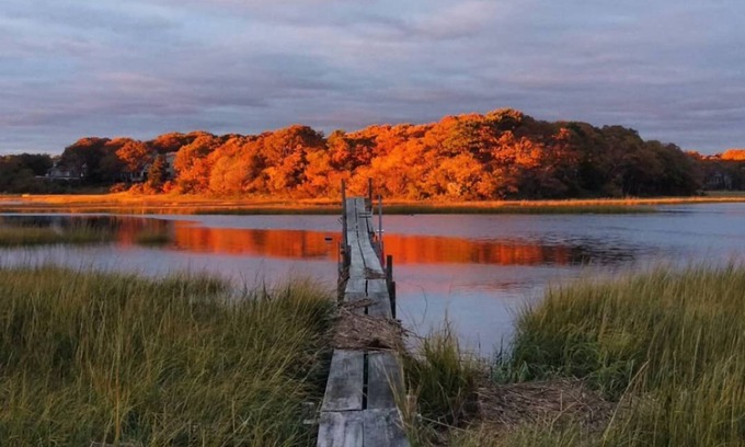 Centerville Haus | Steps away from Craigville Beach. Riverfront! Your own private bird sanctuary!