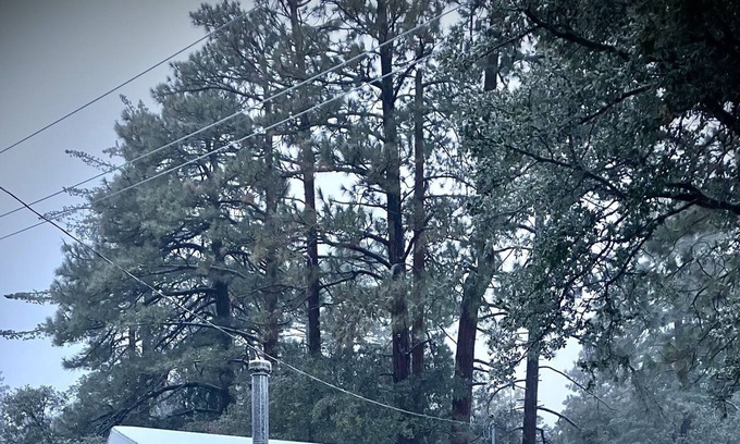 Pine Cove Haus | Storybook Cottage