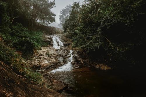Kottappadi part Haus | Stream Garden Mountain Resort