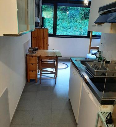 Torcy Wohnung | Studio 19 m2 à louer au Mont-Dore