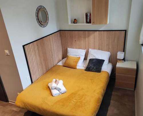 Vandoeuvre-les-Nancy Wohnung | Studio 74 Rénové et Équipé - Nancy CHRU,CESI,FAC