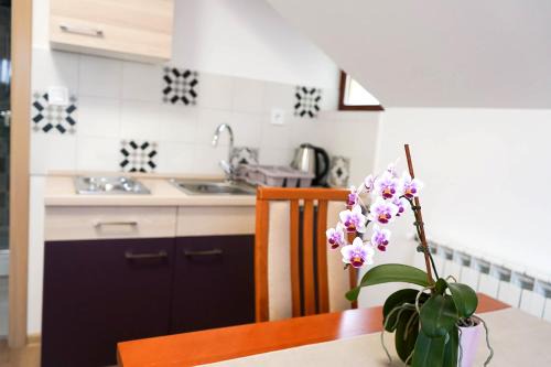 Krapinske Toplice Wohnung | Studio Apartman Šafranko