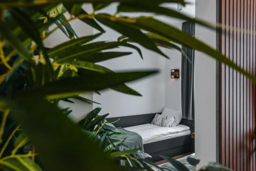 Ivanic-Grad Wohnung | Studio apartmani Albero