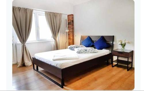 Sector 1 Wohnung | Studio Arc de Triumf Piata Victoriei