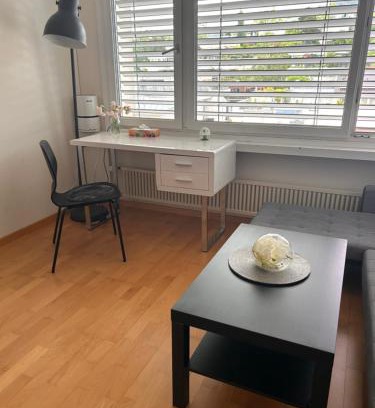 Zug Wohnung | Studio flat in the heart of Zug, ideal for solo travellers