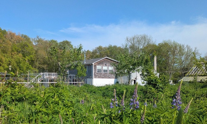 Westport Wohnung | Studio guesthouse on our farm in beautiful South Westport.