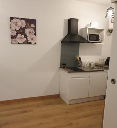 La Real Wohnung | Studio Maillol centre historique Perpignan