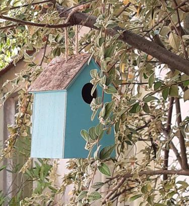 Rosny-sous-Bois Wohnung | Studio Trocadero 2p coté jardin