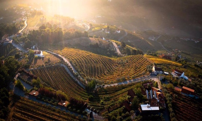 Mesao Frio Haus | Hervorragende Aussichten in Douro 1