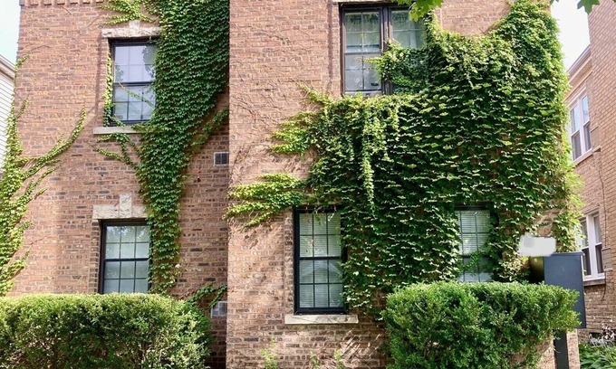 Evanston Wohnung | Sunny Evanston Studio: Stylish Decor, Hardwood Floors, Fenced Yard & Parking