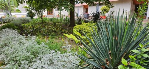 Argenteuil Wohnung | Superbe appartement argenteuil gare du val