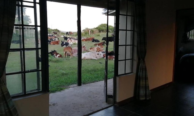 uMhlabuyalingana Haus | Suthu Farm House