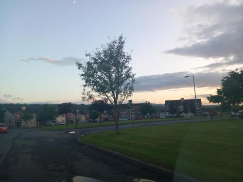 Killotteran Bed & Breakfast | Sycamore Place