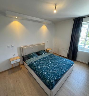 Ferney-Voltaire Wohnung | T2 dans le centre ville de Ferney