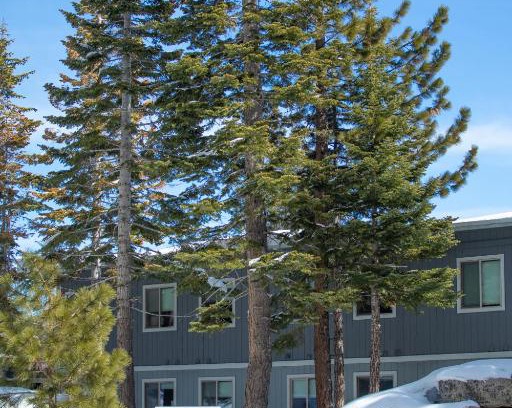 Tahoe Village Resort | Tahoe Trail Resort