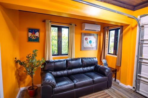 Coral Harbour Haus | Tangerine Sunsets Mango