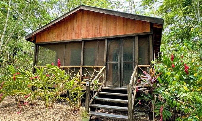 San Ignacio Haus | Tapir at Lost Compass Cabanas