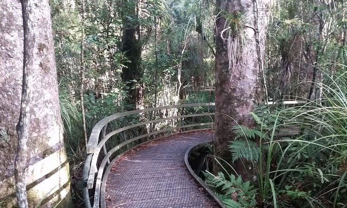 Paihia Kabine | Tarltons Lodge