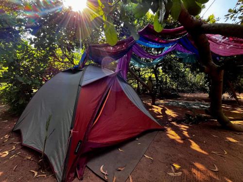 Auroville Sonstige | Tentopia
