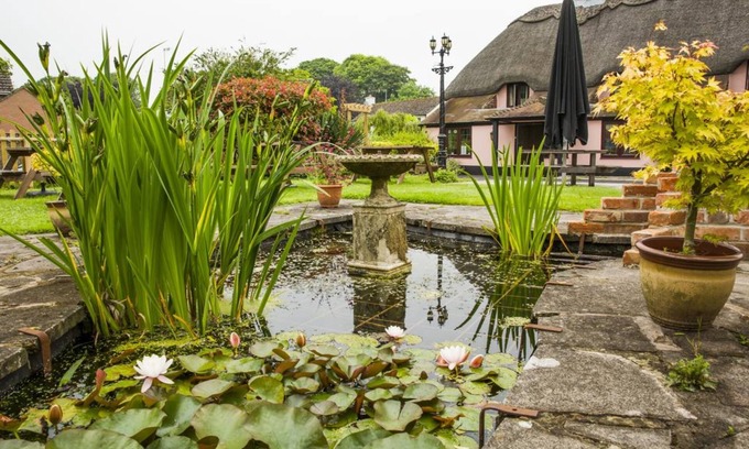 Pimperne Hotel | The Anvil Inn