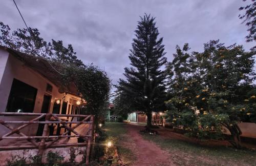 Masinagudi Haus | The Big Cat's Den - Maravakandy Resort, Masinagudi