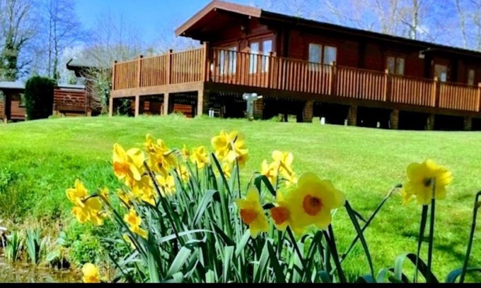 Fordingbridge Skihütte | The Birches Log Cabin & Hot Tub