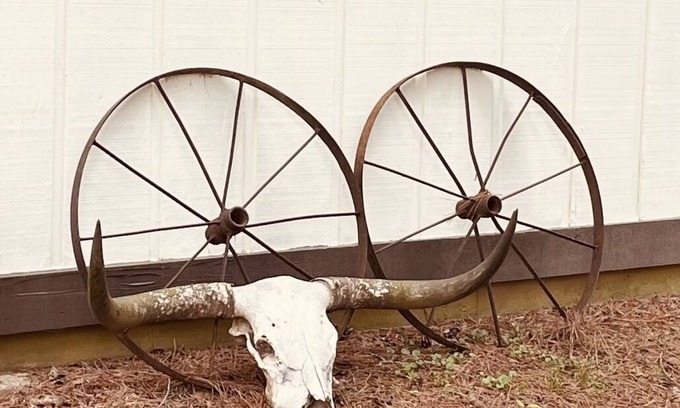 Madison Kabine | The Bunkhouse