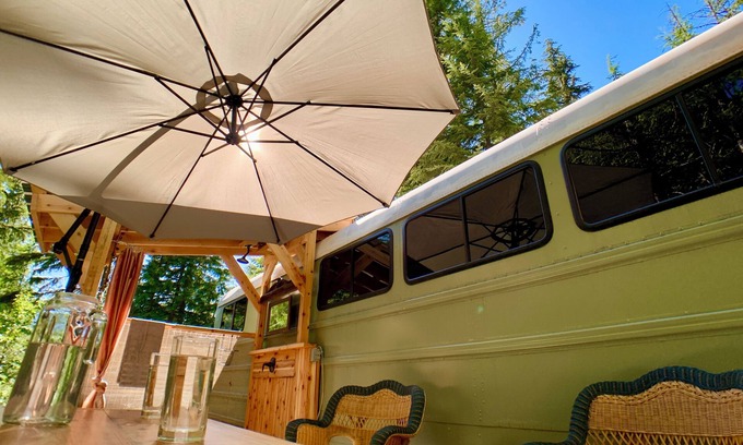 Gray Creek Hütte | The Bus Stop ...in a remote, private & tranquil forest