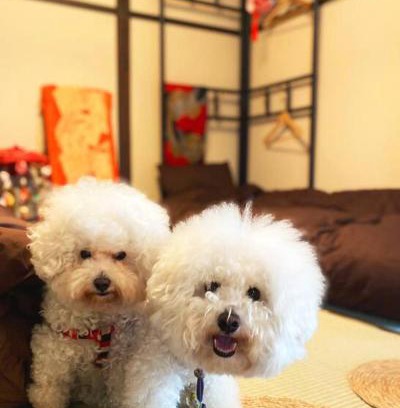 Kamakura Wohnung | ＊THE CABIN 鎌倉＊鎌倉エリア/寛ぎのレトロなお部屋/ワンちゃんOK