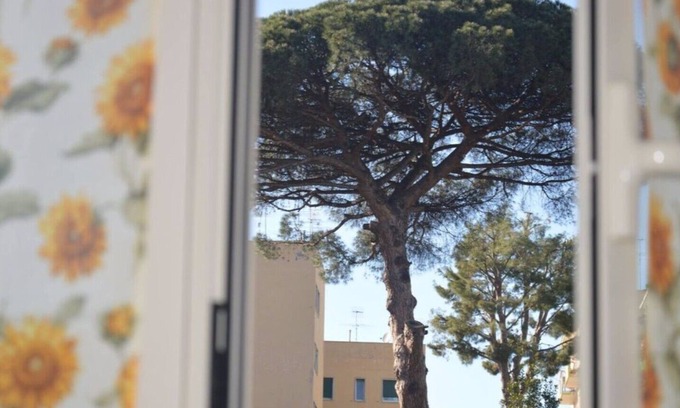 Arenella Bed & Breakfast | DIE FARBEN VON SALVATOR ROSA - Green Room