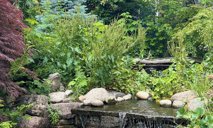 Kewadin Haus | The Cottage at Pine Hill