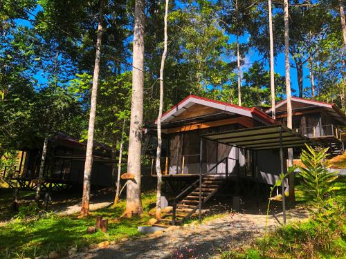 Platanillo Wohnung | The Elements Costa Rica Nature Lodges