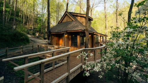 Gatlinburg Haus | The Elm in Treehouse Grove at Norton Creek