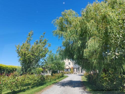 Kilmuckridge Bed & Breakfast | The Feathered Nest Apartment at The Cracked Hen