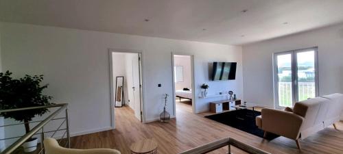 Ribeira Grande Haus | The Frenchie's House
