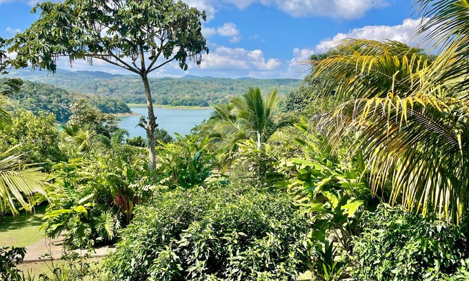 Arenal Sonstige | The Fruit Tree Garden Bromeliad Suite
