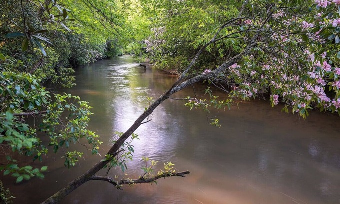 Mountain Rest Haus | “The Happy Place” River front cabin with dock
