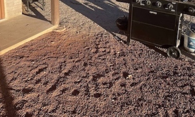 Meadview Haus | The Hideaway - Desert Glamping