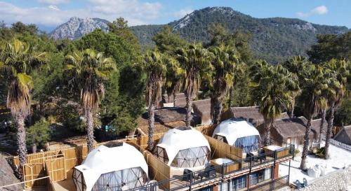 Cirali Skihütte | The Hill Glamping Çıralı