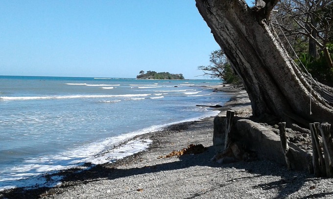 Cabuya Kabine | The Howler Monkey Hotel
