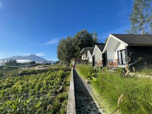 Songan Haus | The Iris Vulcano's