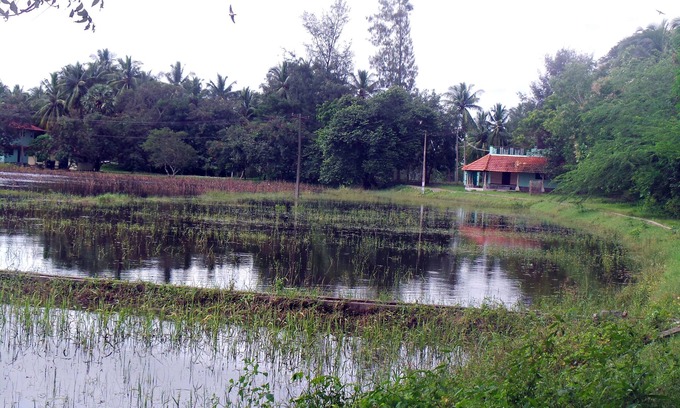 Poothurai Wohnung | Der See-Ufer-Apartment
