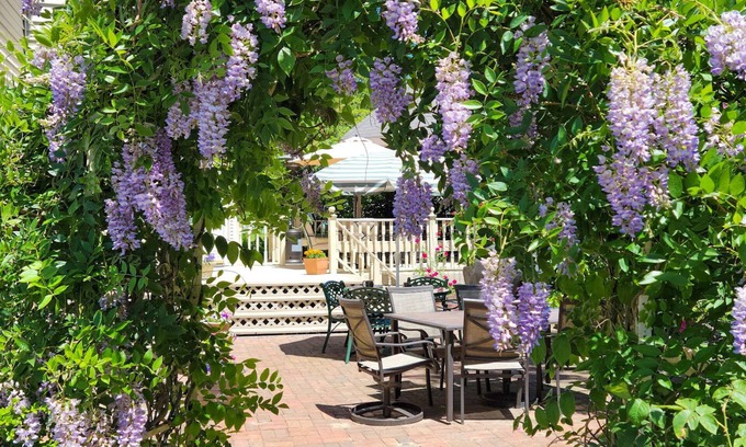 Ludington Bed & Breakfast | The Lamplighter Bed & Breakfast of Ludington