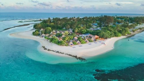 Laamu Atoll Resort | The MAVERICK SURF AND DIVE BOUTIQUE HOTEL - Book 10 Nights and get 1 Free Night - Free Speed Boat Service - Kids Stay Free
