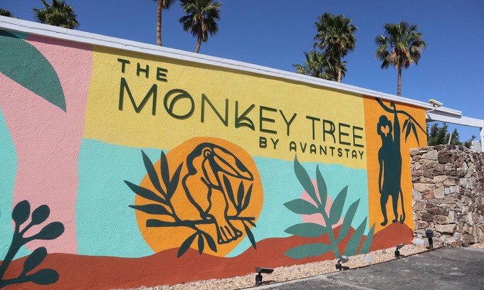 Desert Park Estates Hotel | The Monkey Tree by AvantStay – Mid-Century Modern Oasis with Pool