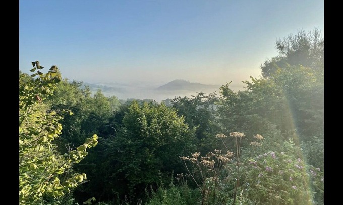 Colerne Kabine | The Nest at Gilling Grove - stunning treetop views