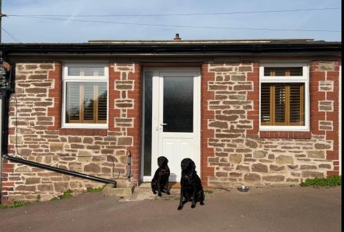 Lydney Haus | The Netherend Inn - Pet Friendly Haven