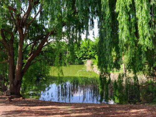 Kempton Park Kabine | The Nugget Guest Lodge