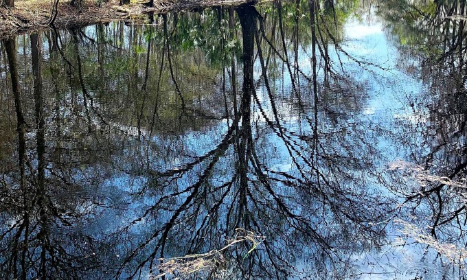 Inverness Hütte | The Oaks at Withlacoochee Cottage Riverfront - NO Mgt fees!